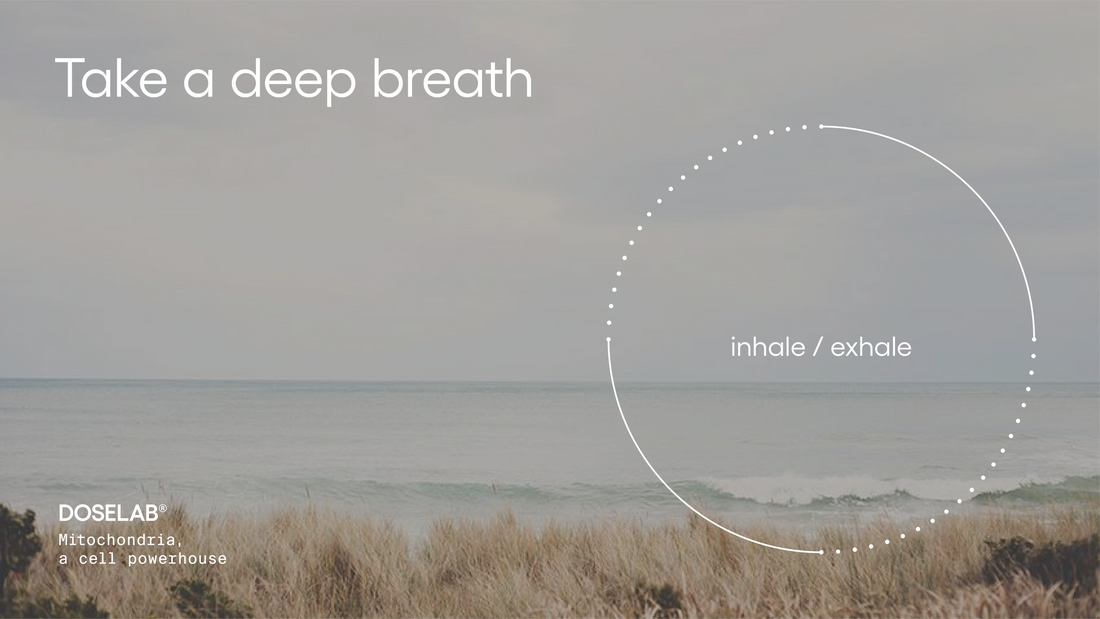 Mindful Breathing: #InhaleExhale