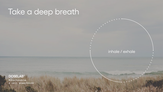 Mindful Breathing: #InhaleExhale